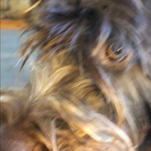 Meet your Posher, Joanna